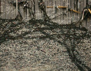 Theo Moorman research